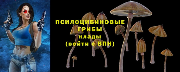 MDMA Premium VHQ Ельня