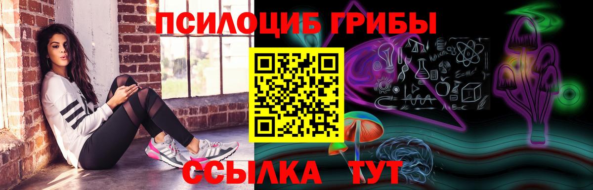 Галлюциногенные грибы GOLDEN TEACHER Заринск